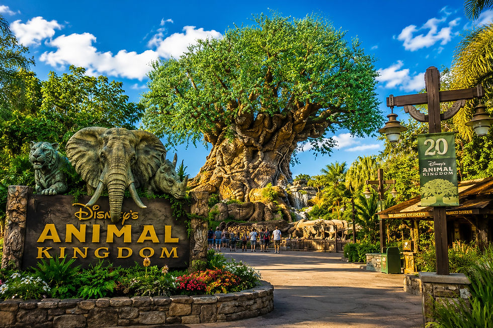 🦁 ANIMAL KINGDOM EN ORLANDO