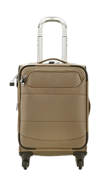 Brown Carry-On Luggage_edited.png