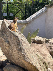 ZOO KOKI (Parque zoológico y botánico)