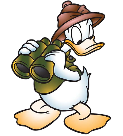 Disney Vacation