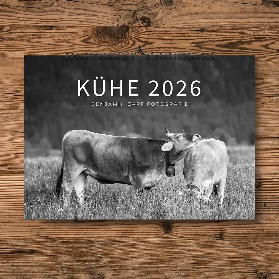 Allgäuer Kuhkalender 2026