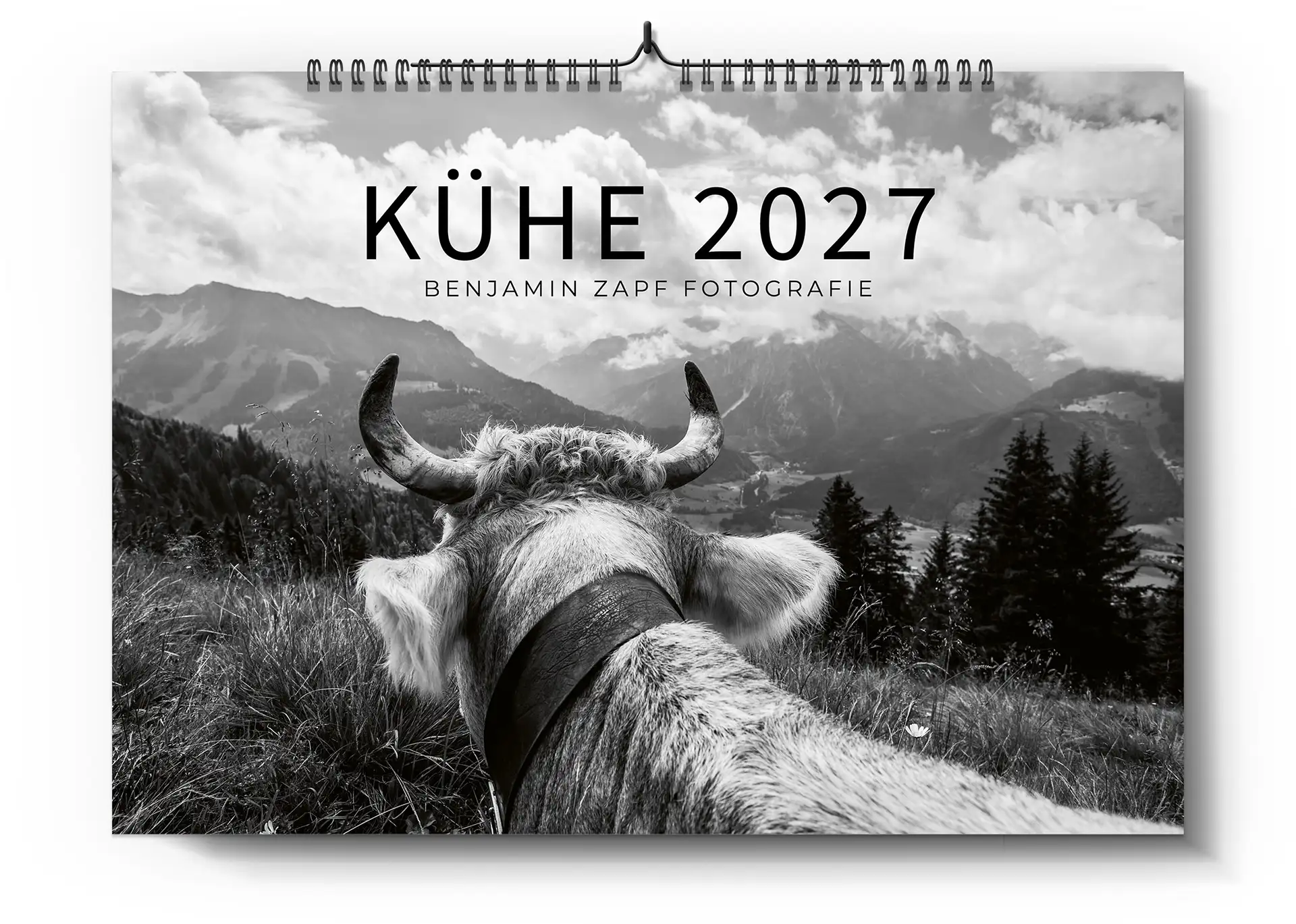 Allgäuer Kuh-Kalender 2027 – Schwarzweiß Wandkalender mit Kuhportraits
