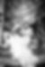 14188340_10209872986516956_2347227802431904559_o.jpg