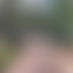 Echo's extravagant start to the season