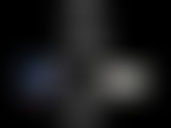 Two of the same kind...