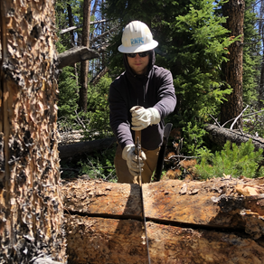 The Crosscut Samurai: CC Bravo