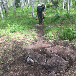 Blast off with the Banging Barbs!