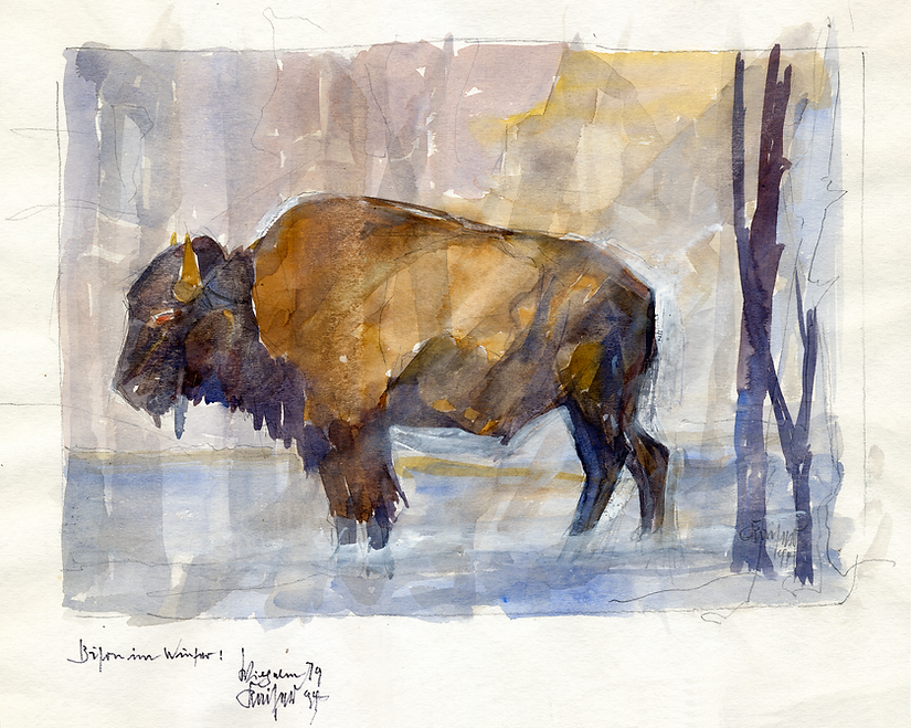 Wilhelm Kaiser Maler München Bison