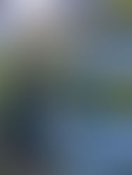 Le temps de la Grâce, le temps de la Joie