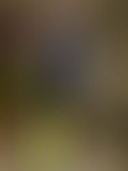 Que la Grâce du coeur