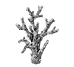 Corail-Icône_edited.png