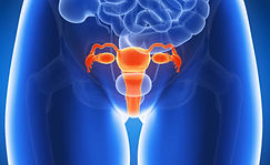 gynecological.jpg