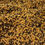 Thumbnail: Pellet