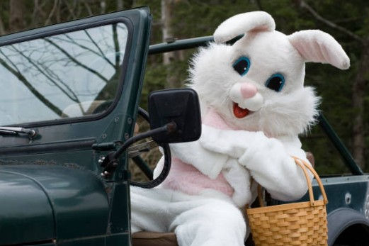 Pet Photos with the Easter Bunny