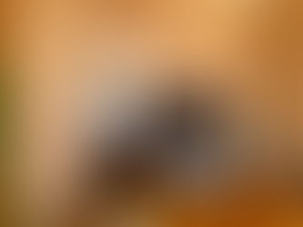 Boletin Informativo: Deputado Lebrão recebe autoridades em Brasília