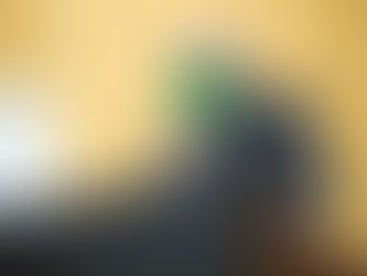 Deputado Lebrão denuncia paralisação do setor madeireiro