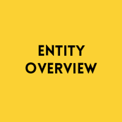 Entity overview