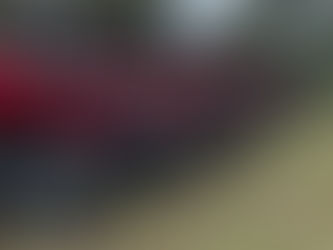 Deputados Lebrão e Lebrinha destinam emendas para fortalecer a agricultura em Rondônia