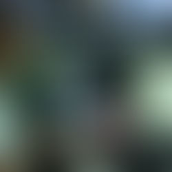 Servidor que assumiu ter desviado milhões da prefeitura de São Francisco apresenta sua versão dos fatos