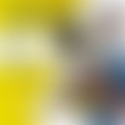 Clínica-Escola de Veterinária da UNINASSAU Cacoal está com vagas abertas para consultas