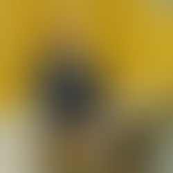 Deputado Luizinho Goebel cobra votação do projeto que trata do Zoneamento Socioeconômico e Ecológico