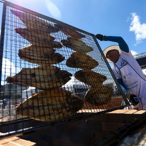 Festival do Tambaqui quer ganhar o Brasil