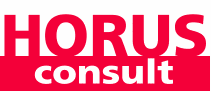 CoachingHaarlemLogoHorusConsult.gif