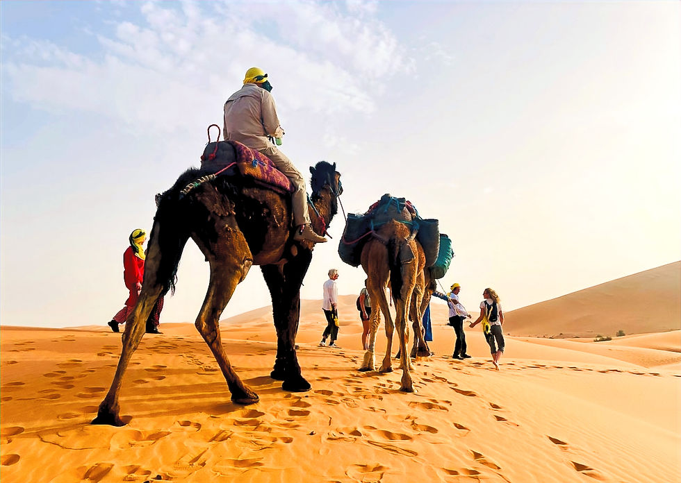 TC travel - 'Into Stillness' Desert Retreat