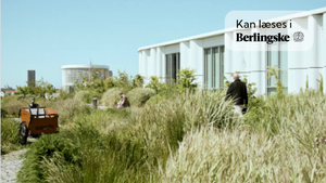 Når det gælder biodiversitet, trækker vi stadig grænsen ved byskiltet – det er hverken logisk eller ansvarligt