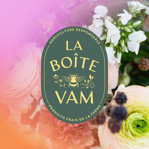 Création de l'identité de marque pour la ferme La Boîte Vam, Vitamines, Amour, Minéraux proposant des paniers de légumes et fleurs produits à la ferme.