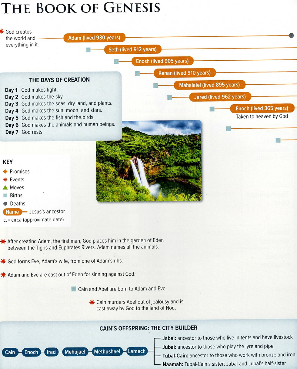 Thumbnail: Rose Deluxe Timelines Bible and Christian History
