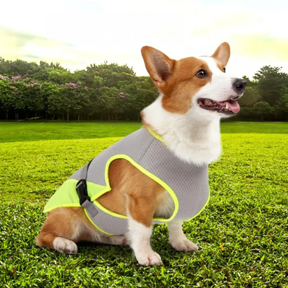 Summer Pet Dog Cooling Vest Heat Resistant and Breathable