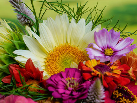 Summer Bouquet Club Starts May 8th, 2024