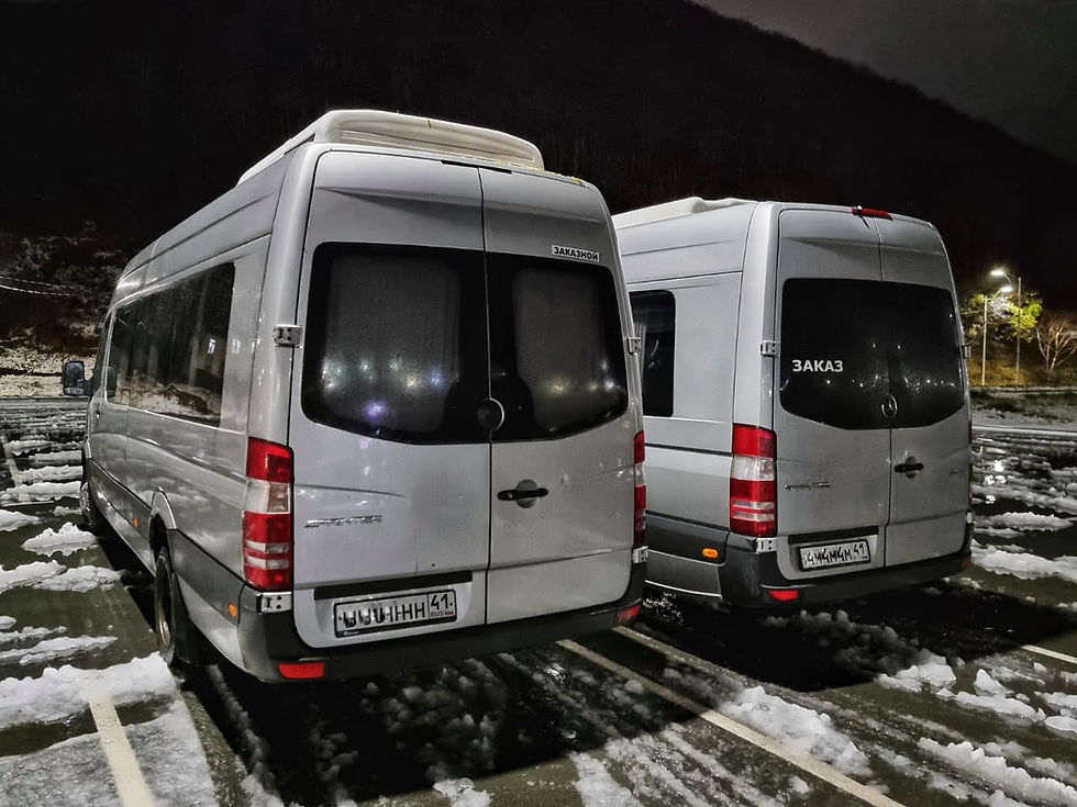 Миниатюра: Mercedes-Benz Sprinter (19 мест)