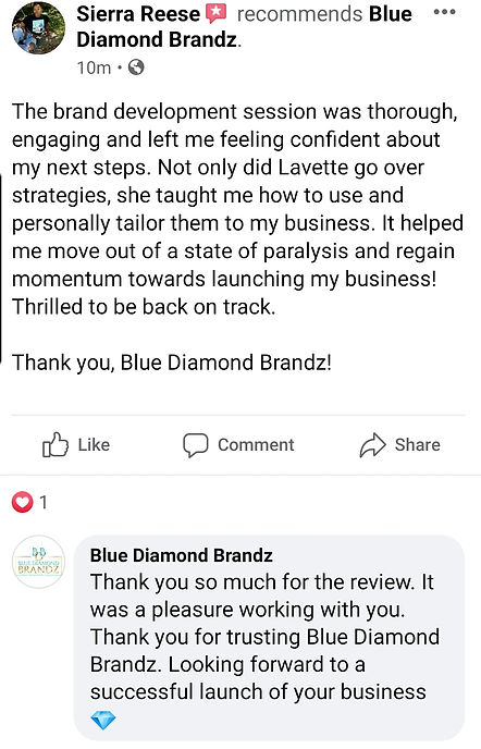Blue Diamond Brandz Testimonial5