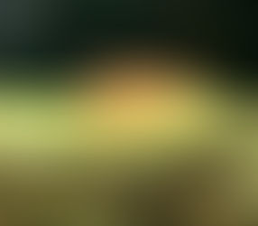 Fresh Water Fish 5/6/21