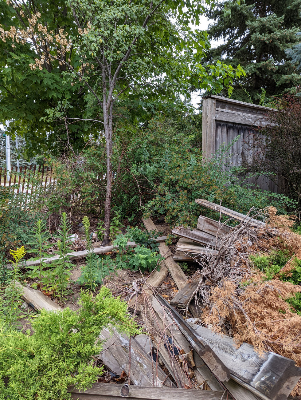 PXL_20220804_141455467