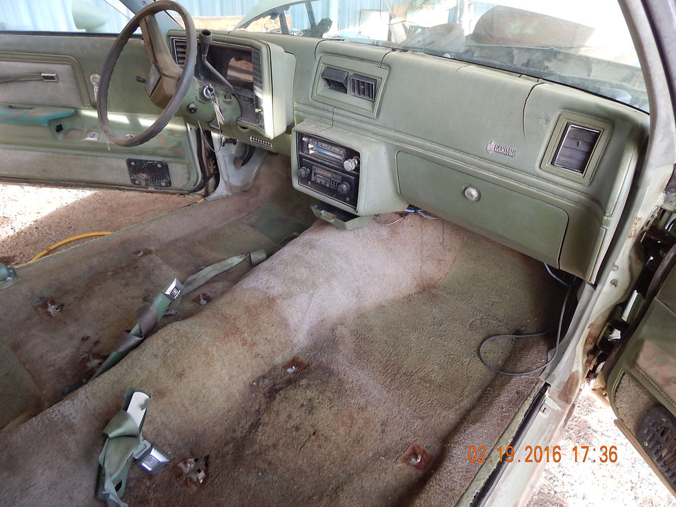 DSCN3976.JPG