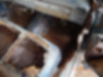 DSCN3383.JPG