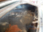 DSCN4753.JPG