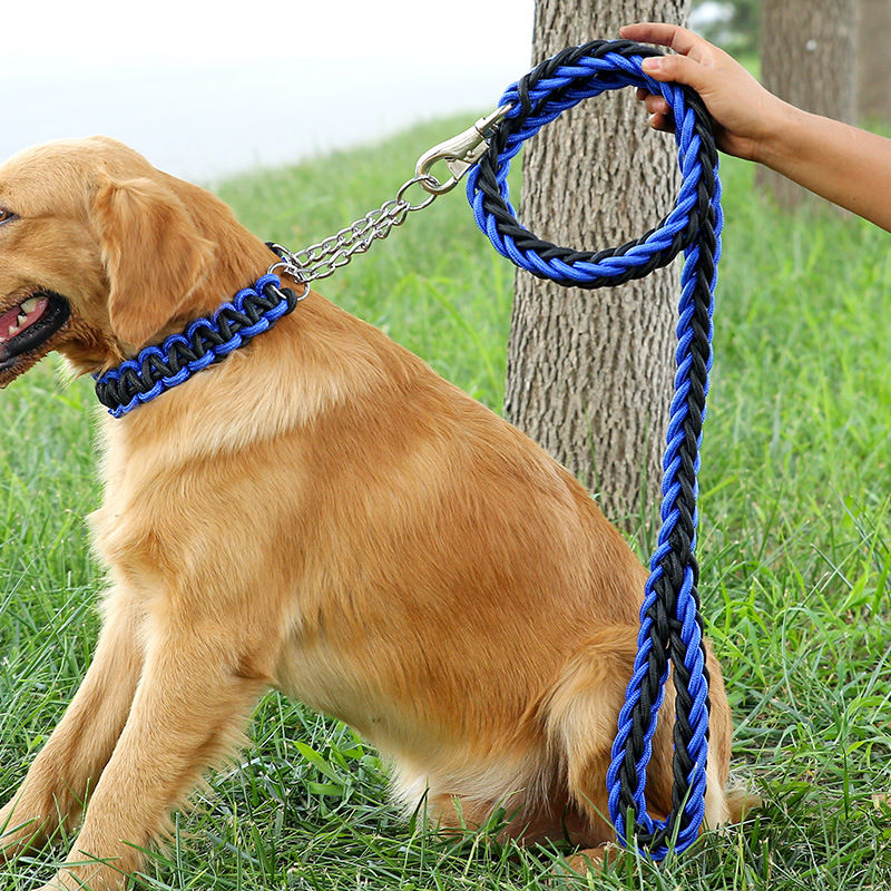 Thumbnail: Braided  Medium to Large Dog Leash