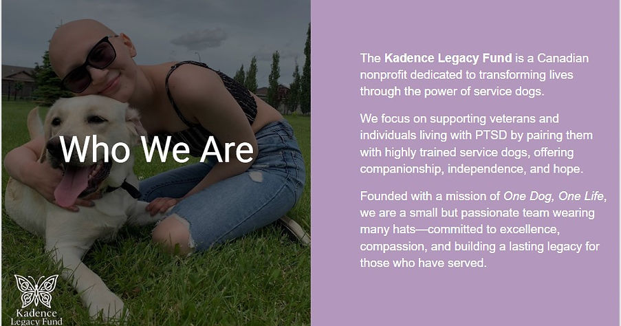 Screenshot Strategic Non Profit Slides image.jpg