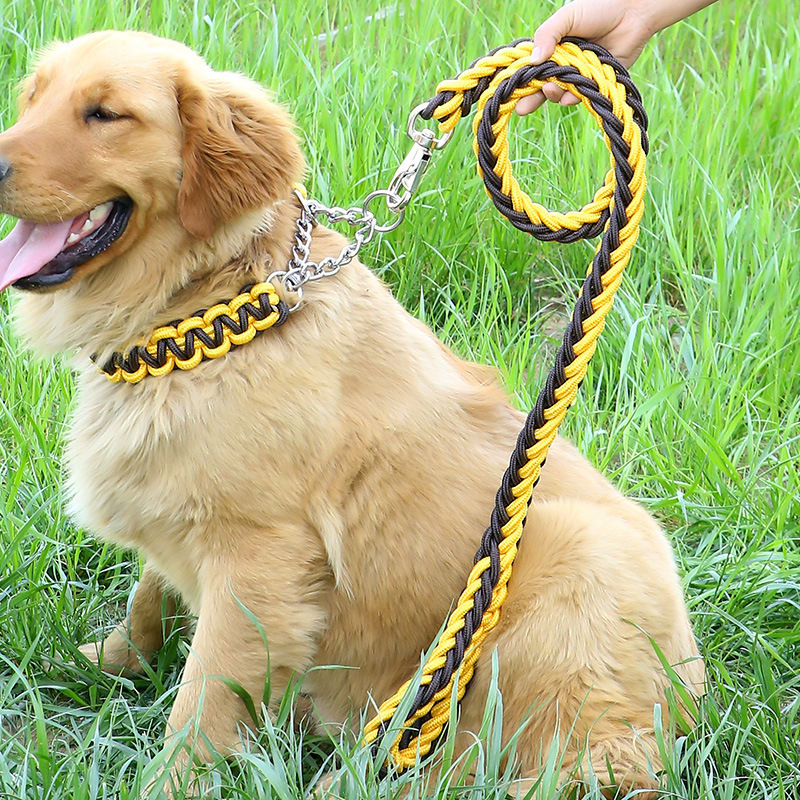 Thumbnail: Braided  Medium to Large Dog Leash