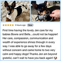 Review: Jen cared for dogs Bowie and Bella, expressing happiness with her care.