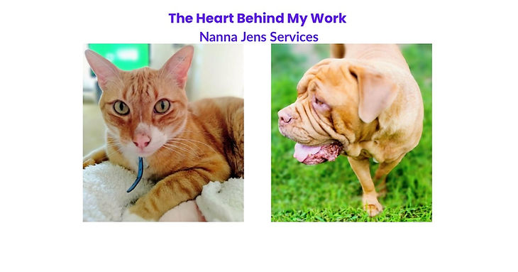 Ginger cat and large brown dog for Nanna Jens Services.