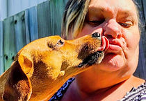 Small brown dog licking a woman's face during pet sitting.