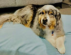 IMG_5493.jpeg