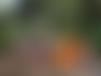 When Children Come Home: Enriching Our Holiday Season 