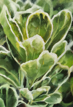 leaves of a plant painting