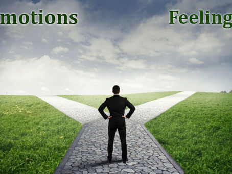 7 Difference between Emotions and Feelings